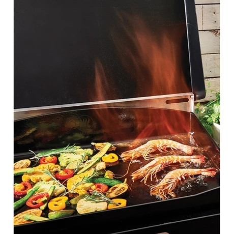 Plancha électrique 2 Brûleurs 4420.00 4 Plancha électrique 2 Brûleurs 4420.00 – Image 2